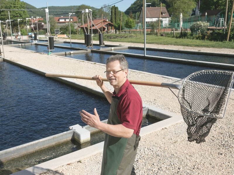 honau rössle forellen marktleben honau rössle forellen marktleben