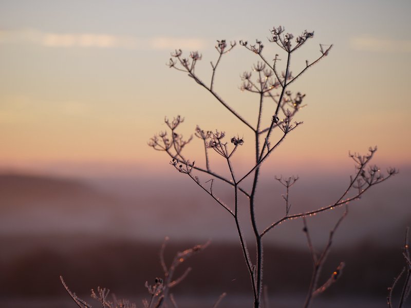 Morgendlicher Blick vom Gänsewag