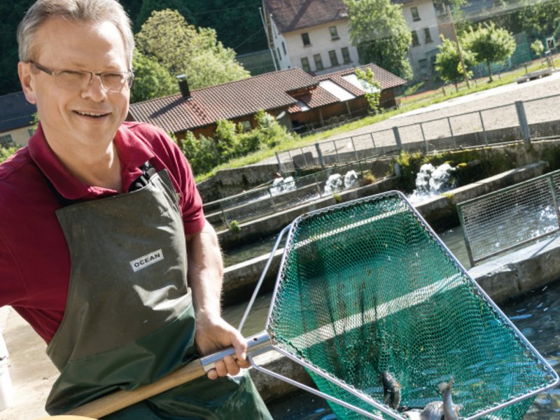 Titelbild Marktleben juni 2018 Titelbild Marktleben juni 2018